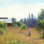 A painting by a Duluth MN artist captures a person in a white shirt standing in a sunlit field, surrounded by lush greenery. A large red barn with a silver roof stands prominently, under the expansive clear sky. The scene evokes a sense of peace and rural tranquility.