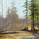 A serene forest scene, reminiscent of a Duluth MN artist's muse, features sparse trees—some with lush green foliage, others bare. Sunlight filters through, illuminating the forest floor strewn with fallen branches and leaves, creating a tranquil and picturesque natural setting.