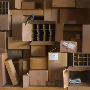 A bird perches on an open cardboard box amidst a large stack of various sized boxes, created by a Duluth MN artist. Some boxes have dividers, and a small coiled rope is visible in one box. The boxes are plain, with shipping labels on a few.
