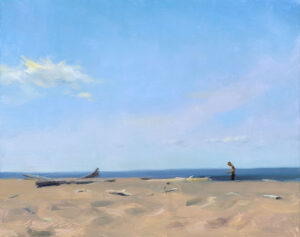 A serene beach scene near Duluth, MN, with a clear blue sky and driftwood scattered on the sand. A solitary person stands at the shoreline, gazing into the distance, capturing the peaceful and contemplative atmosphere that a local artist might depict in their work.