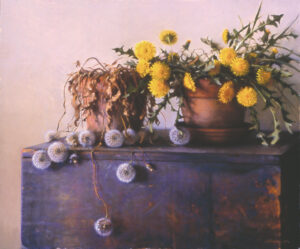 A still life by a Duluth MN artist showcases two pots with yellow dandelions on a dark wooden surface. One pot holds fresh blooms, while the other contains withered plants. Fluffy dandelion seeds are scattered around, set against a muted, light background.