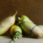 A still life by a Duluth MN artist features four daikon radishes on a surface. The radishes, in shades of green and white, include one bound by a blue rubber band. A muted brown background accentuates their organic forms.
