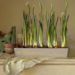 A painting by a Duluth MN artist showcases tall white flowers with green stems in a rectangular pot on a table. The scene is adorned with textured paper, antique iron brackets, and terracotta pots, set against a soft beige background.