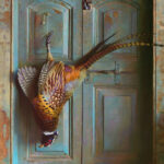 A painted image by a Duluth MN artist captures a pheasant hanging upside down by one leg on a light blue wooden door. The detailed feathers display vibrant colors like brown, orange, and hints of iridescent green, exuding a rustic, natural ambiance.